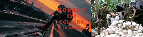 гашик Нефтекумск