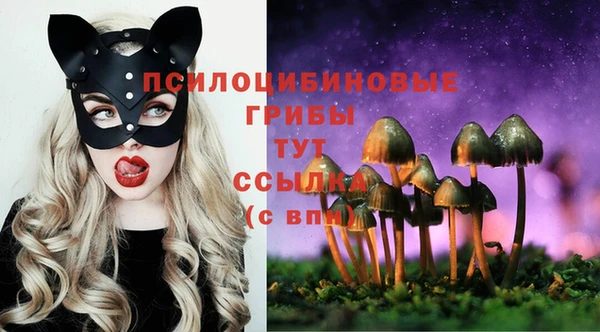 эйфоретик Наволоки