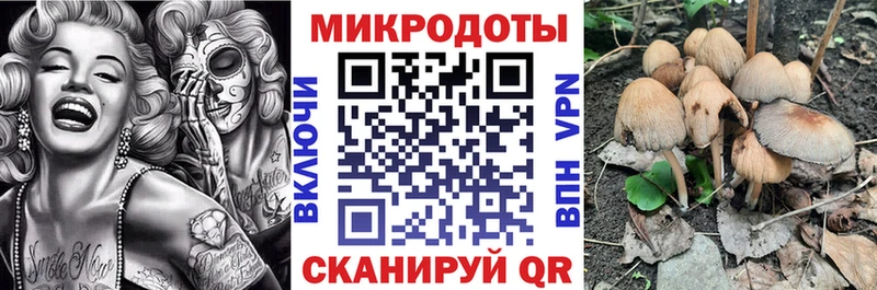 Псилоцибиновые грибы MAGIC MUSHROOMS OMG маркетплейс Скопин хочу наркоту