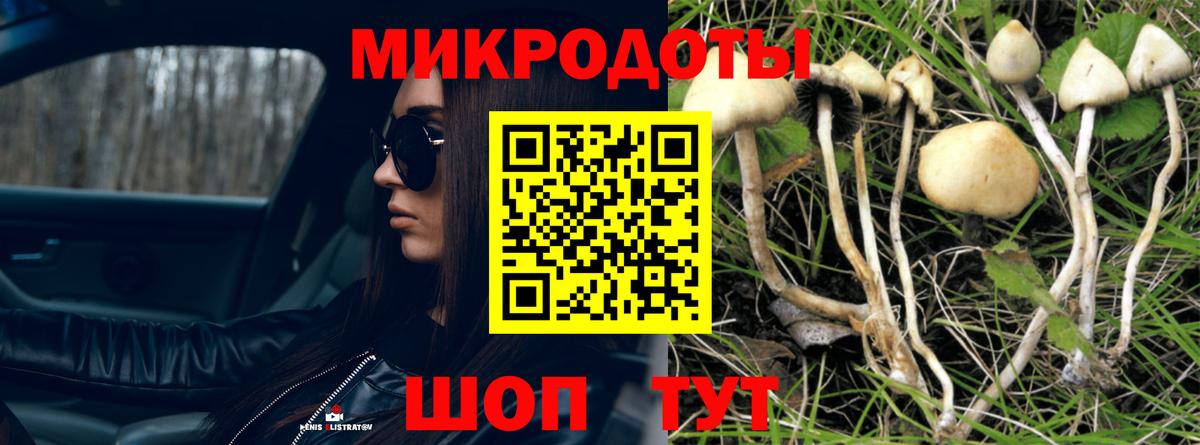 Скопин  Галлюциногенные грибы GOLDEN TEACHER  Вход с VPN 